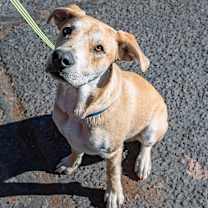 Thumbnail photo of Duke #2