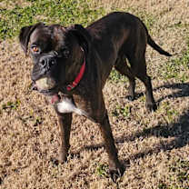 Thumbnail photo of Augustus McKray #1