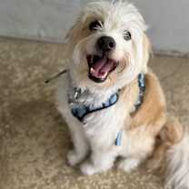 Thumbnail photo of Spottie #1