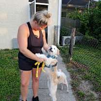 Thumbnail photo of Spottie #3