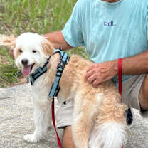 Thumbnail photo of Spottie #4