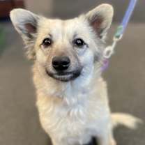 Thumbnail photo of Peaches #1