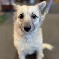 Thumbnail photo of Peaches #2