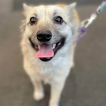 Thumbnail photo of Peaches #3