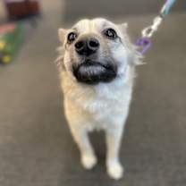 Thumbnail photo of Peaches #4