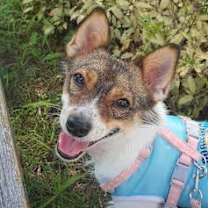 Thumbnail photo of Lina (J) #1