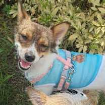 Thumbnail photo of Lina (J) #2