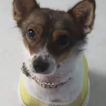 Thumbnail photo of Lina (J) #3