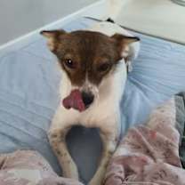 Thumbnail photo of Lina (J) #4