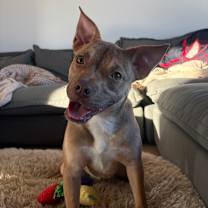 Thumbnail photo of 937 (2025) Serenity #1