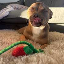 Thumbnail photo of 937 (2025) Serenity #4