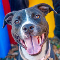 Thumbnail photo of Louise #1