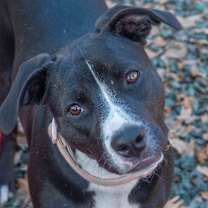 Thumbnail photo of Louise #2