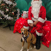 Thumbnail photo of Sky #1