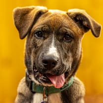 Thumbnail photo of Cinna Bun #4