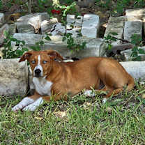 Thumbnail photo of Sky #3