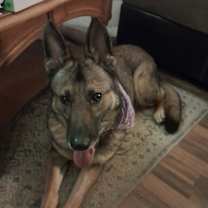 Thumbnail photo of Brooklyn #2