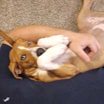 Thumbnail photo of Sky #4