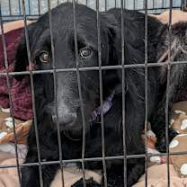 Thumbnail photo of Emery (Photos 12/12/2025) #3