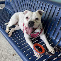 Thumbnail photo of Flower #4