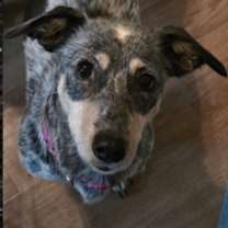 Thumbnail photo of Talaya #3