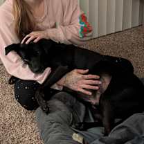 Thumbnail photo of Koda #2