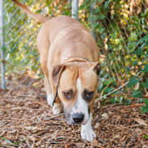 Thumbnail photo of Rubble #3