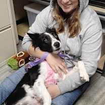 Thumbnail photo of Piper #3