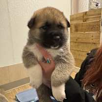 Thumbnail photo of Austin Travel #4