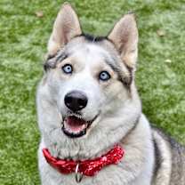 Thumbnail photo of Flora #1