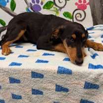 Thumbnail photo of Johnny 25 #2