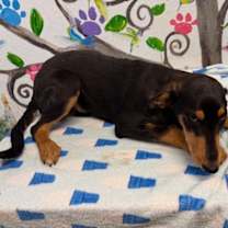 Thumbnail photo of Johnny 25 #3