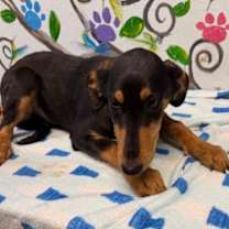 Thumbnail photo of Johnny 25 #4