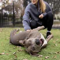 Thumbnail photo of Agatha #2