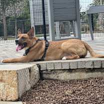 Thumbnail photo of Hank #3