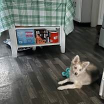 Thumbnail photo of Silas #4