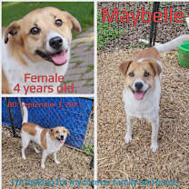 Thumbnail photo of Maybelle #4