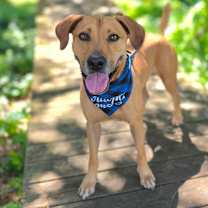 Thumbnail photo of Bo #3