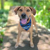 Thumbnail photo of Bo #4