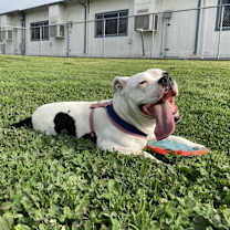 Thumbnail photo of Luna #4