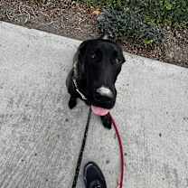 Thumbnail photo of Atlas #2