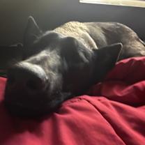 Thumbnail photo of Atlas #3