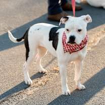 Thumbnail photo of Tula #2