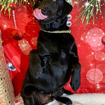 Thumbnail photo of GUNNER #3