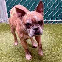 Thumbnail photo of Moe #1