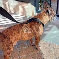 Thumbnail photo of Moe #4