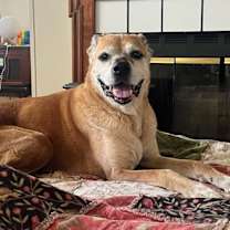 Thumbnail photo of Rusty #4