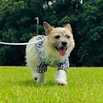 Thumbnail photo of Bori (J) #3