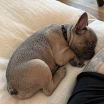 Thumbnail photo of Dior #1