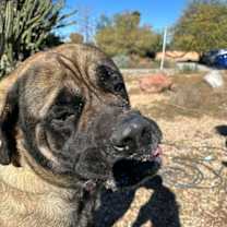 Thumbnail photo of Mavis #2